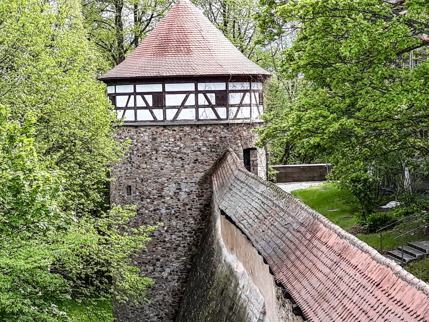 Burg-Hohenberg-88