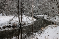 Waldnaabtal_Winter2020jpg-14