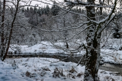 Waldnaabtal_Winter2020jpg-20
