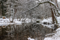 Waldnaabtal_Winter2020jpg-5